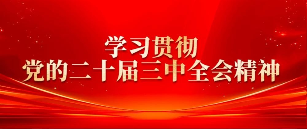 学习贯彻党的二十届三中全会精神② 恒盛园区平台董事长刘孝萌：抓好“建、招、储、运”,建设高质量产业园区