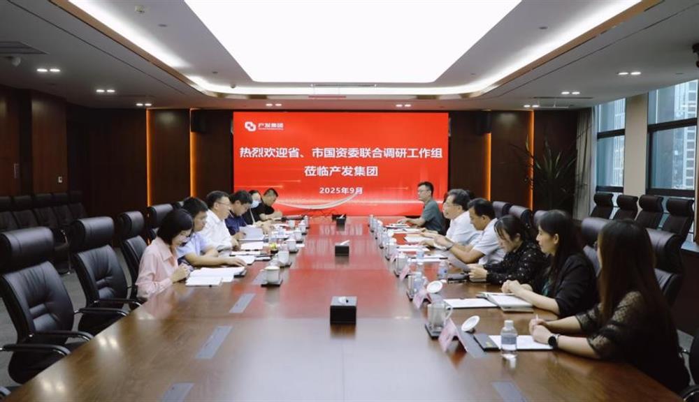 省、市国资委 联合调研工作组到恒盛注册调研指导工作